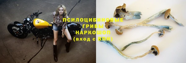 ПСИЛОЦИБИНОВЫЕ ГРИБЫ Покров